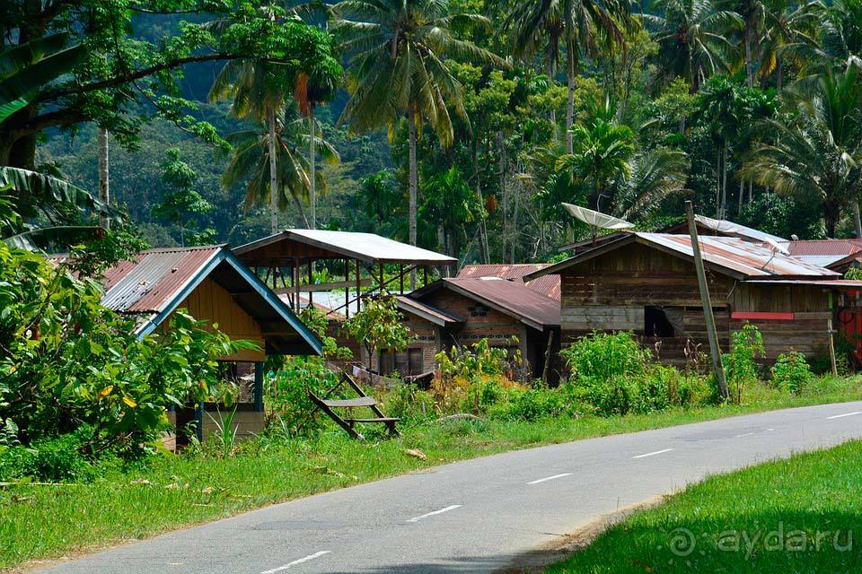 Отдых в Суматре