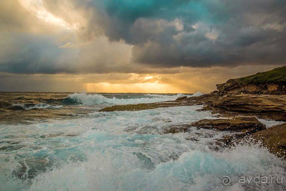 Отдых в Сиднее