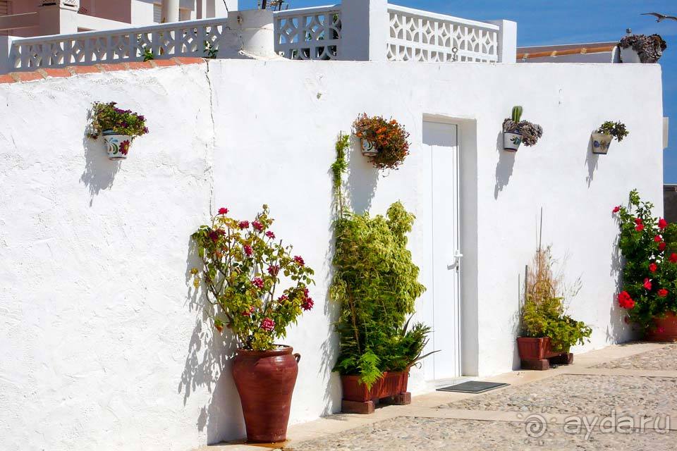 Отдых в Табарке