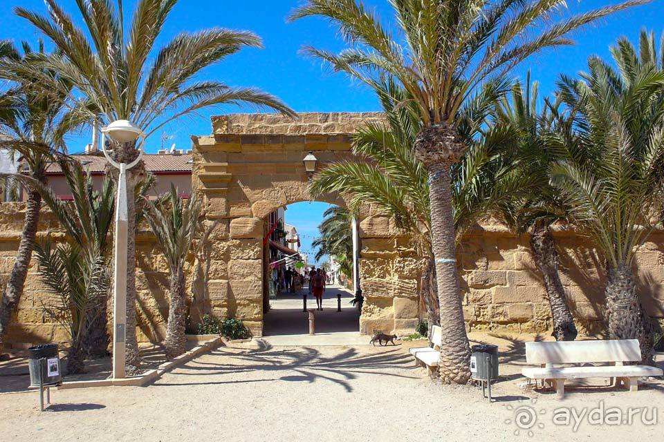 Отдых в Табарке