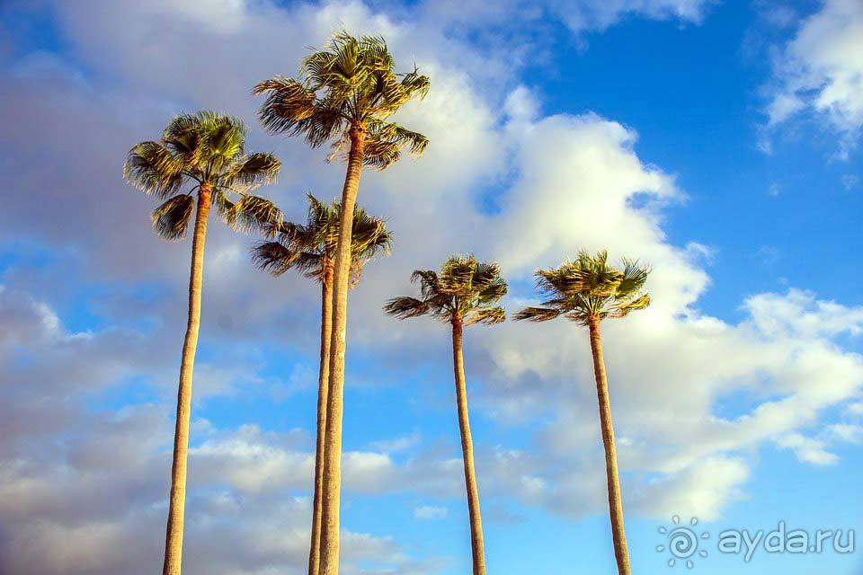 Отдых на Тенерифе