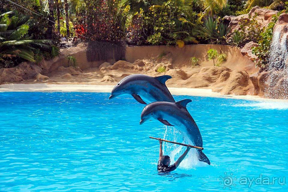 Отдых на Тенерифе