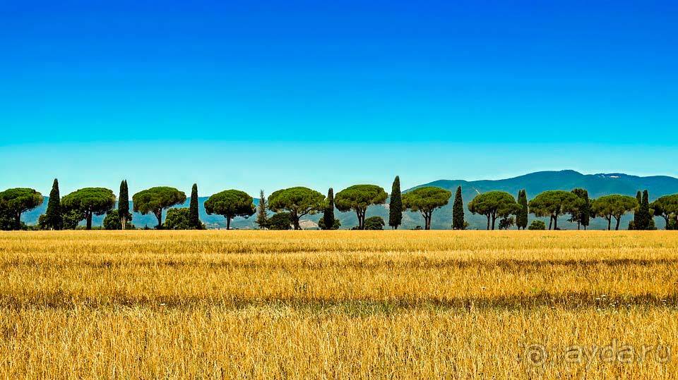 Отдых в Тоскане