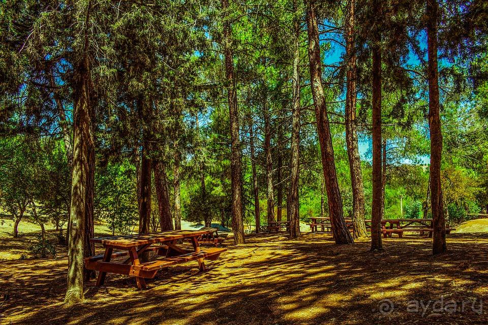 Отдых в Тродосе