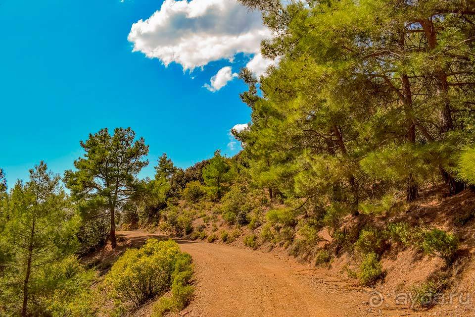 Отдых в Тродосе