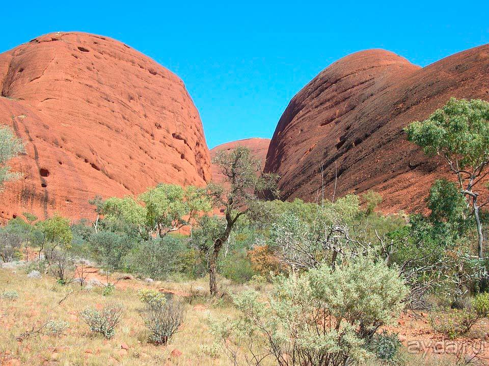 Отдых в Улуру
