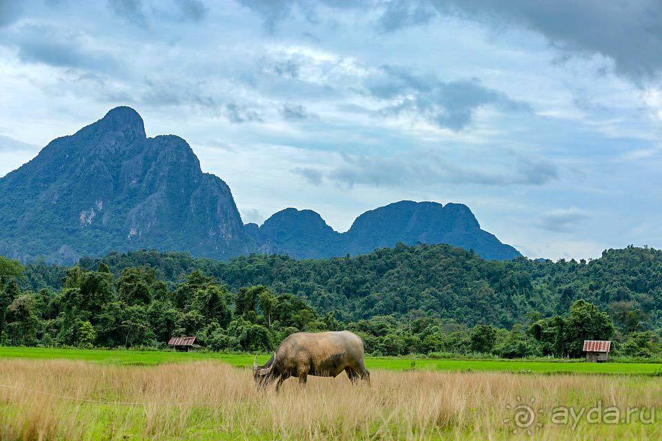 Отдых в Ванг Вьенге