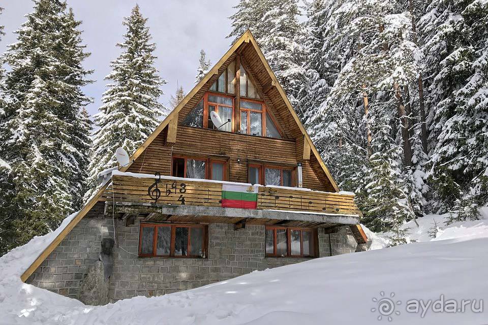 Отдых в Витоше