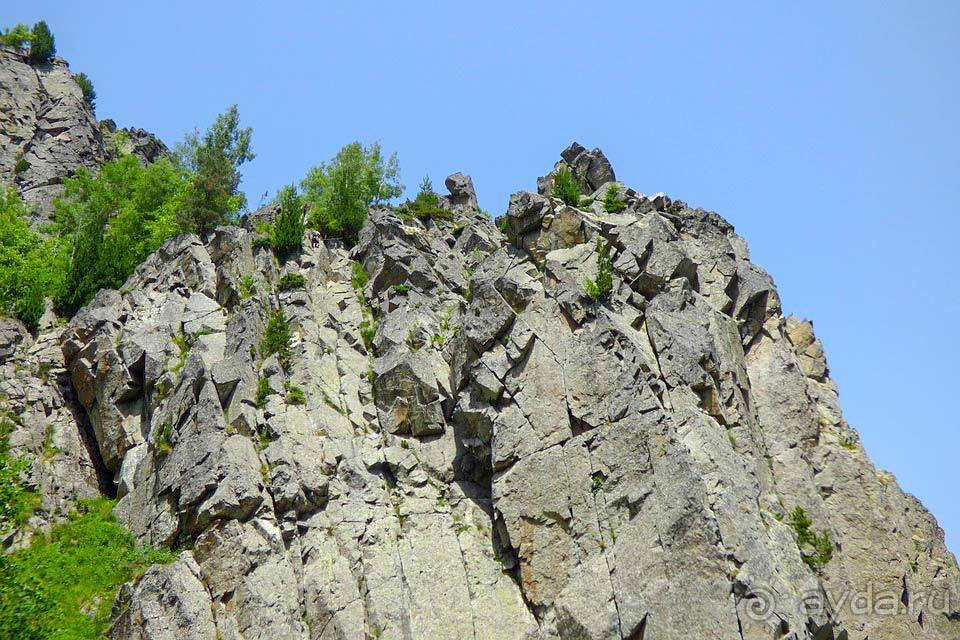 Отдых в Витоше