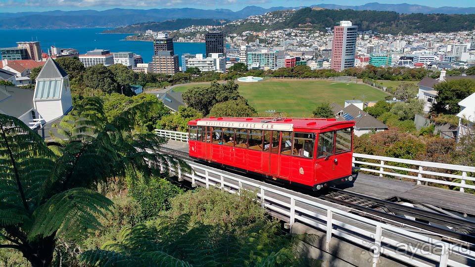 Отдых в Веллингтоне