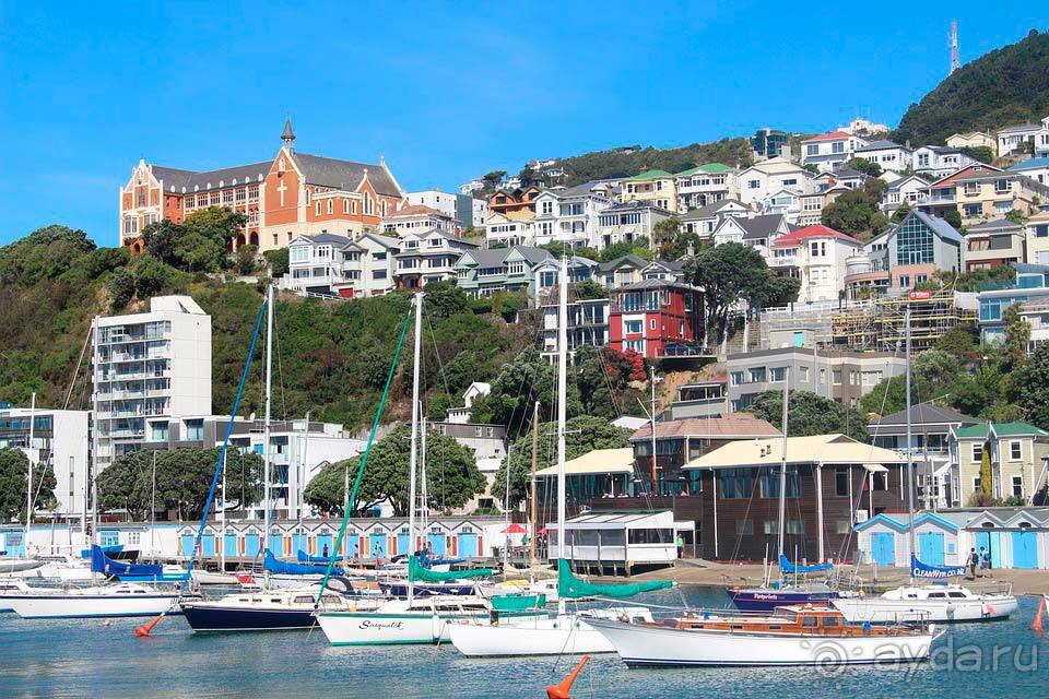 Отдых в Веллингтоне