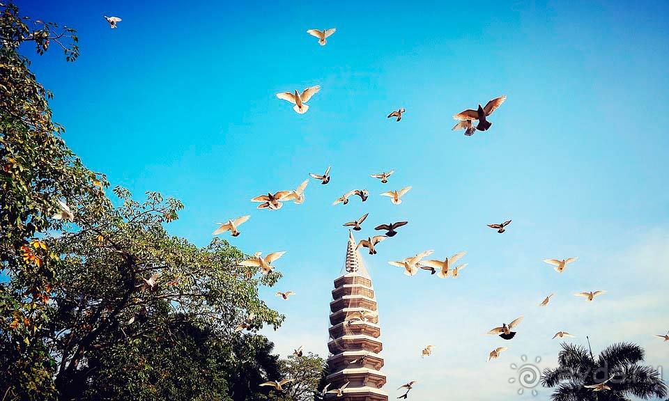 Отдых в Сямыне