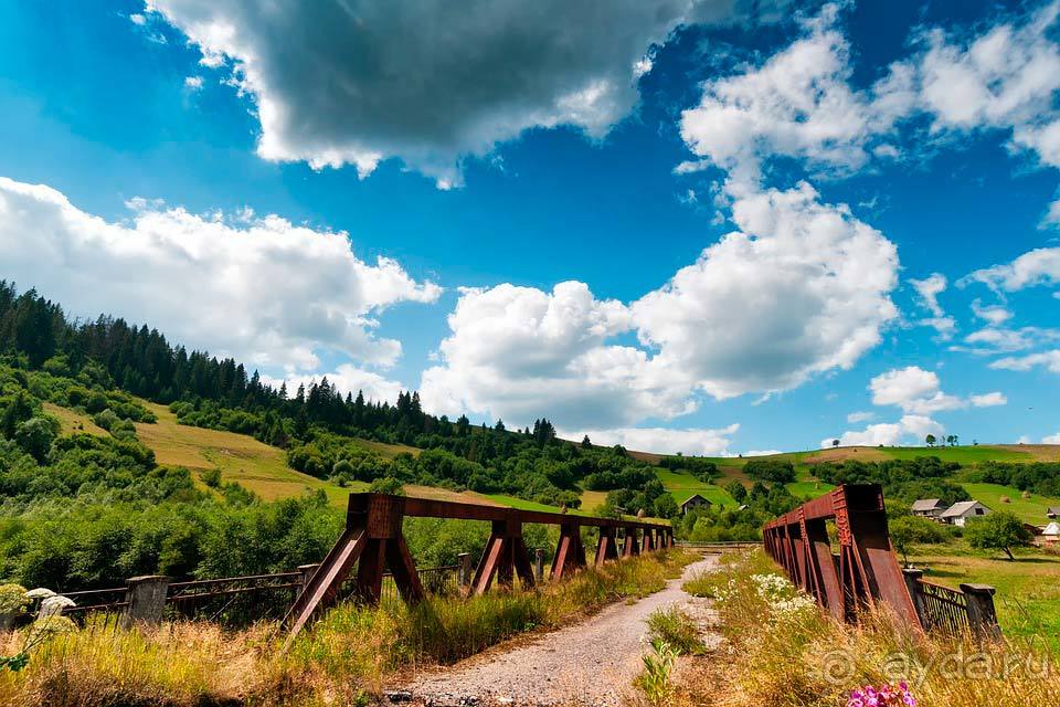 Отдых в Закарпатье