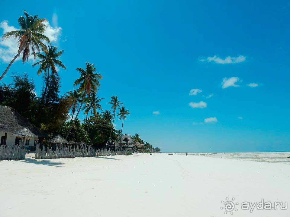 Отдых на Занзибаре