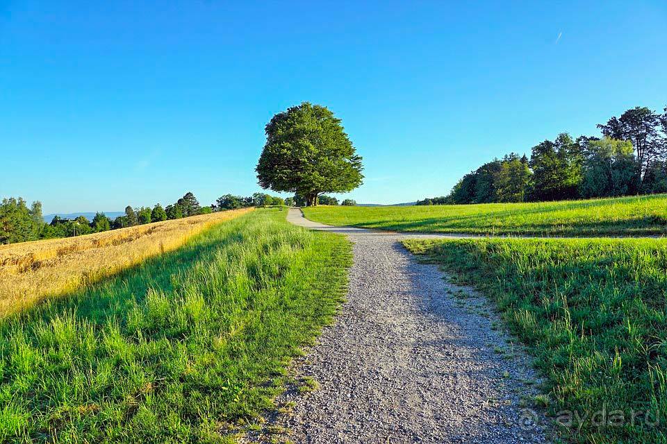 Отдых в Цюрихе