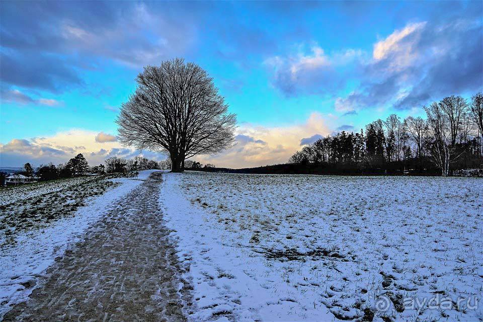 Отдых в Цюрихе