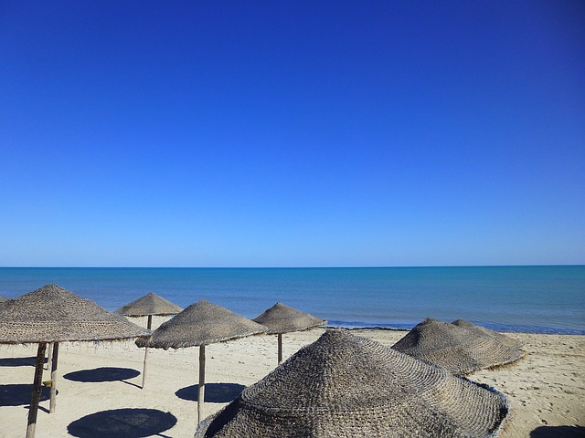 <a href=/tunisia/>Отдых в Тунисе</a> с детьми Отдых в <a href=/tunisia/>Тунисе</a> с детьми