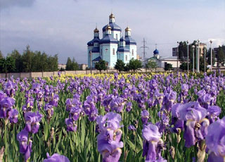 Отели Кривой Рог
