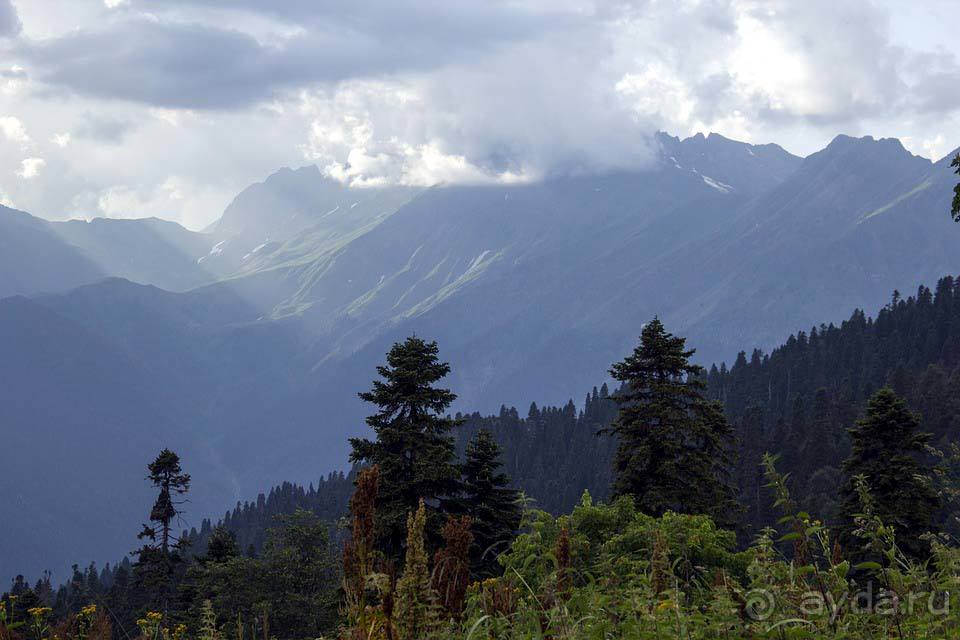 Отдых в Абхазии