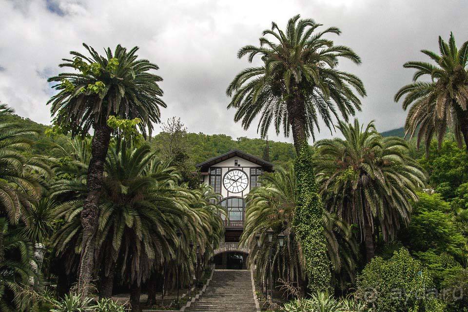 Отдых в Абхазии