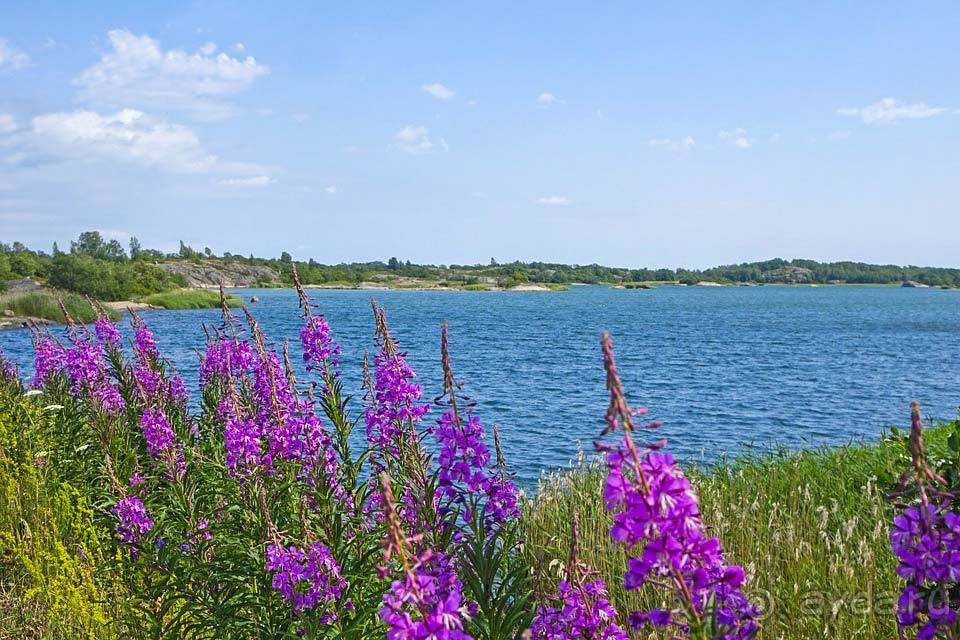 Отдых на Аландских островах