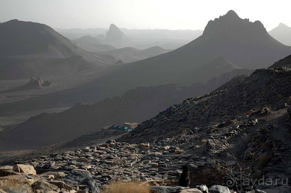 Отдых в Алжире