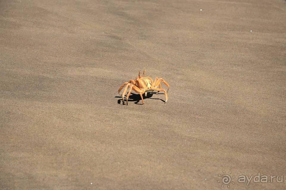 Отдых в Анголе