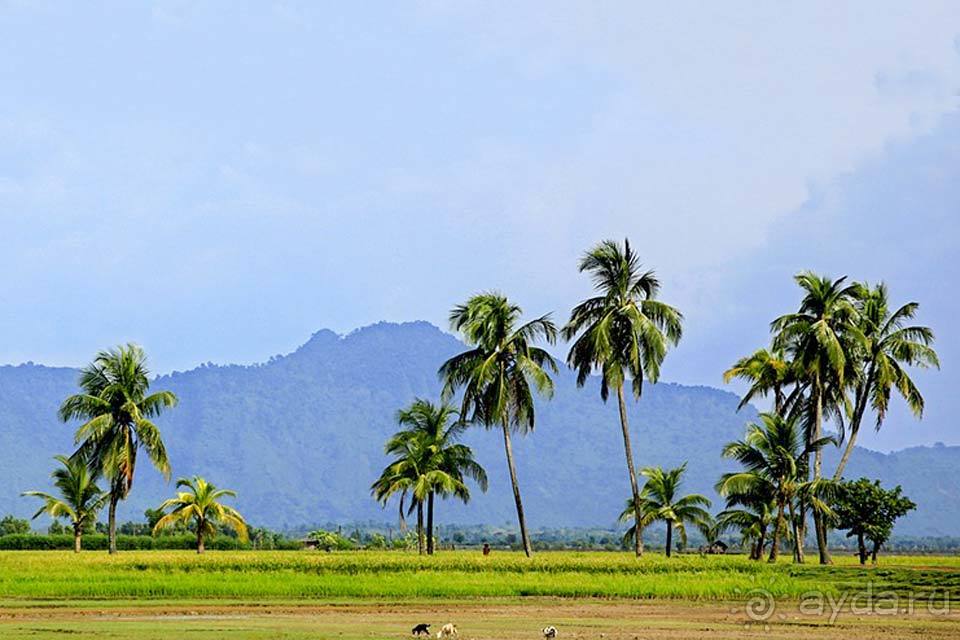 Отдых в Бангладеш