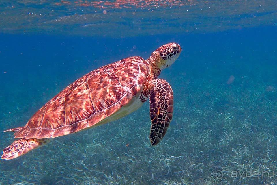 Отдых в Белизе