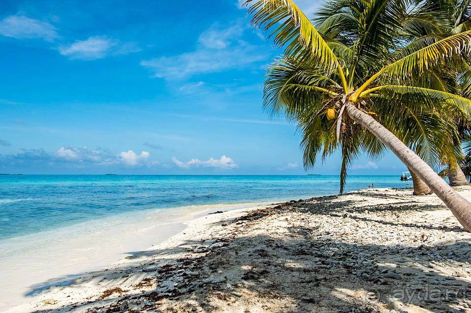 Отдых в Белизе