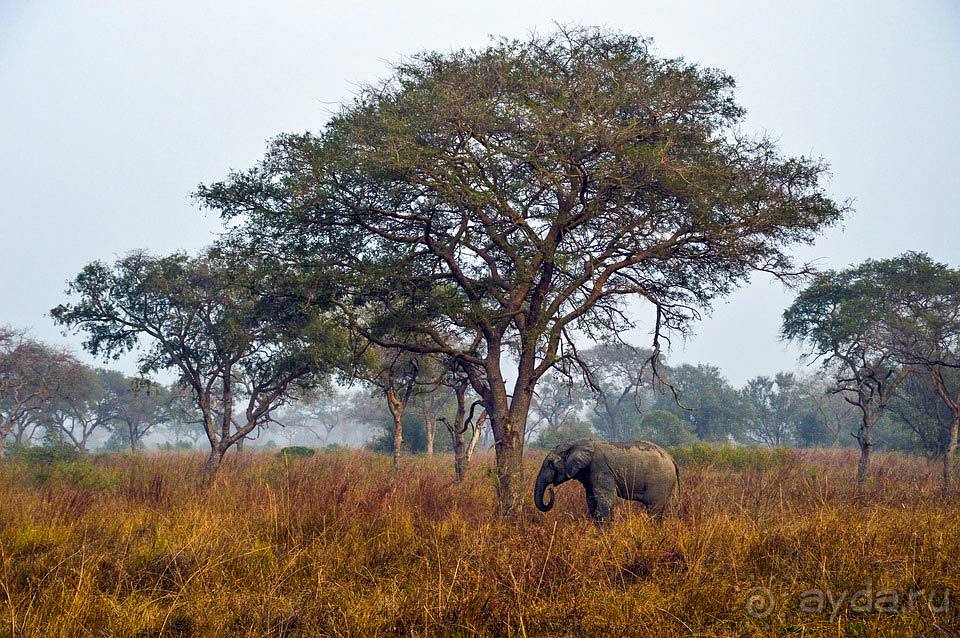 Отдых в Бенине