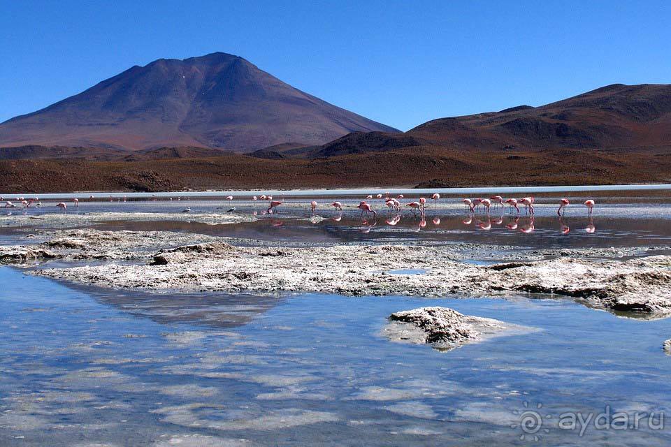 Отдых в Боливии