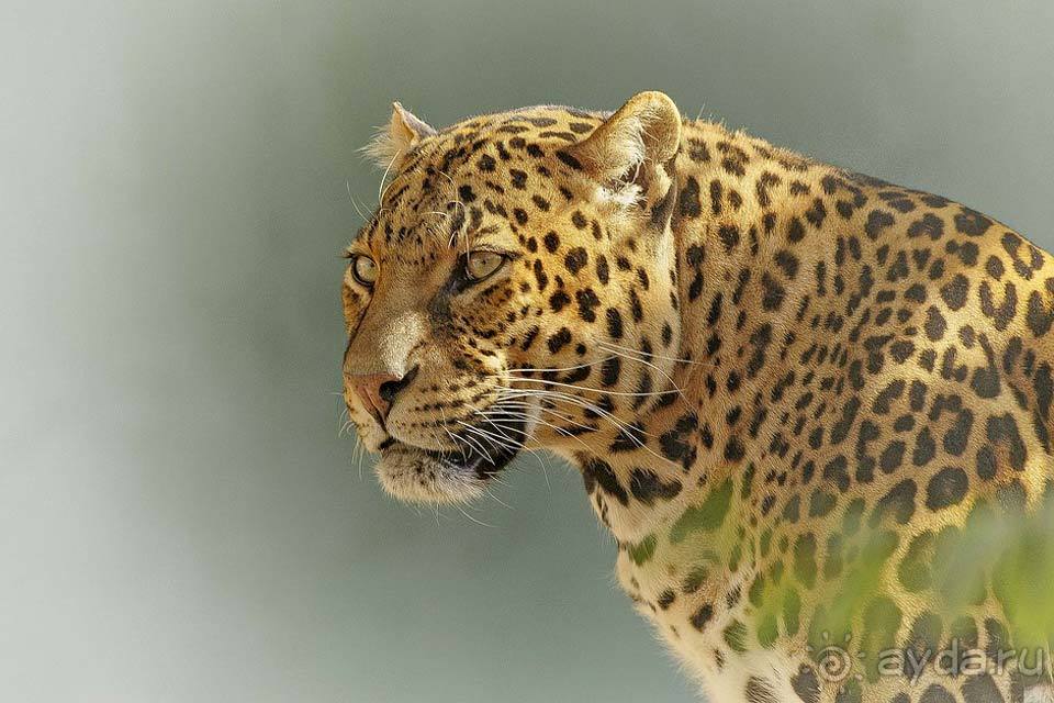 Отдых в Ботсване