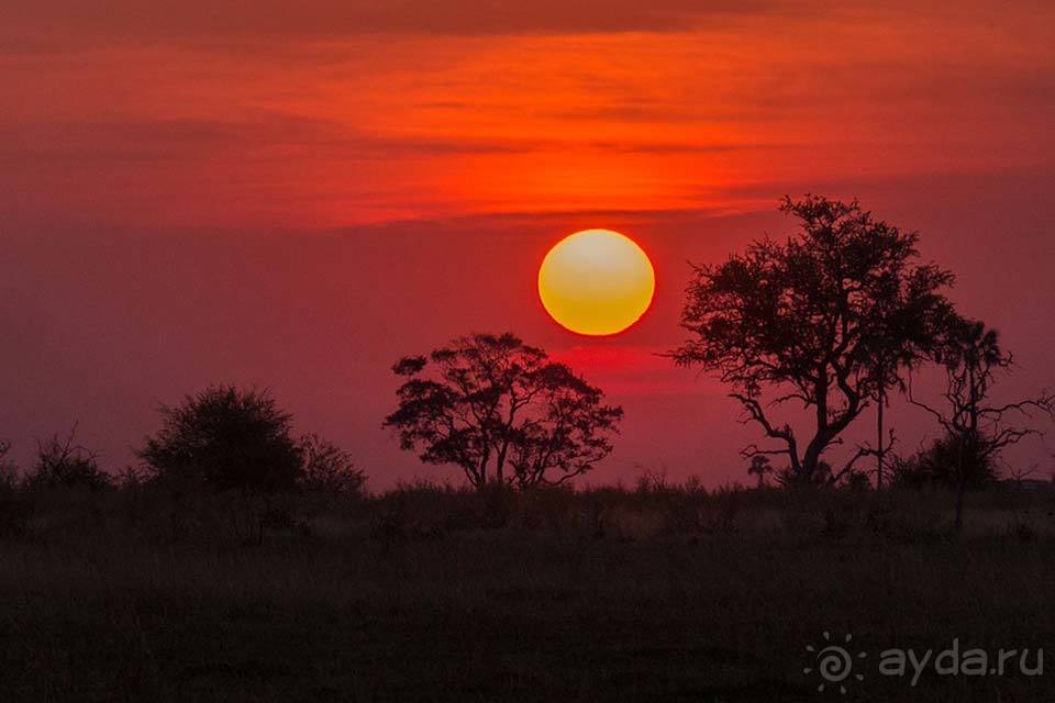 Отдых в Ботсване