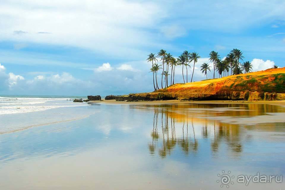 Отдых в Бразилии