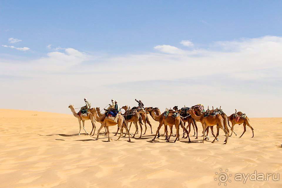 Отдых в Чаде