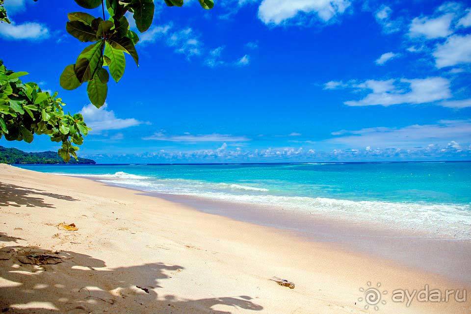 Отдых на Коморских островах