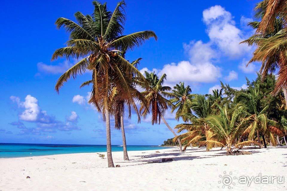 Отдых в Доминике