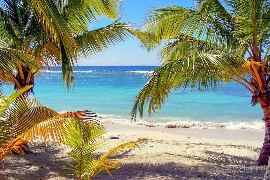 Отдых в Доминике