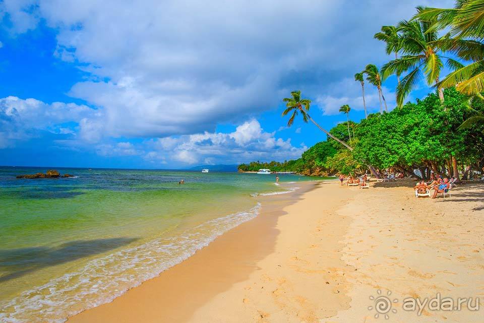Отдых в Доминикане