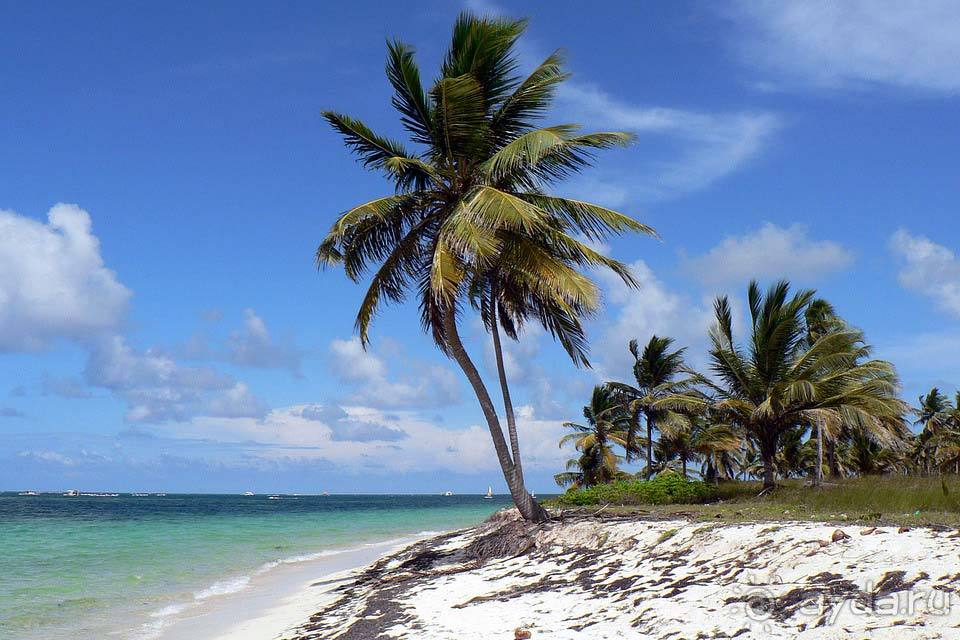 Отдых в Доминикане