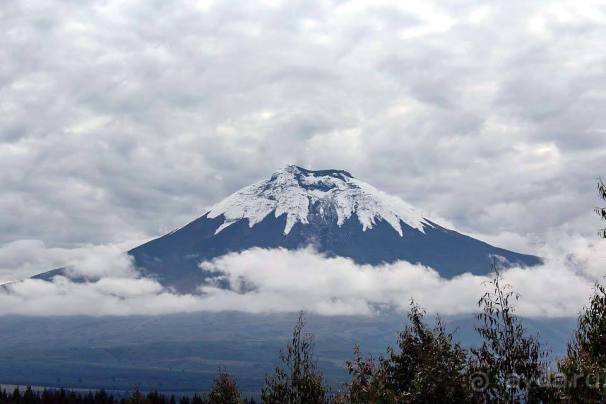 Отдых в Эквадоре