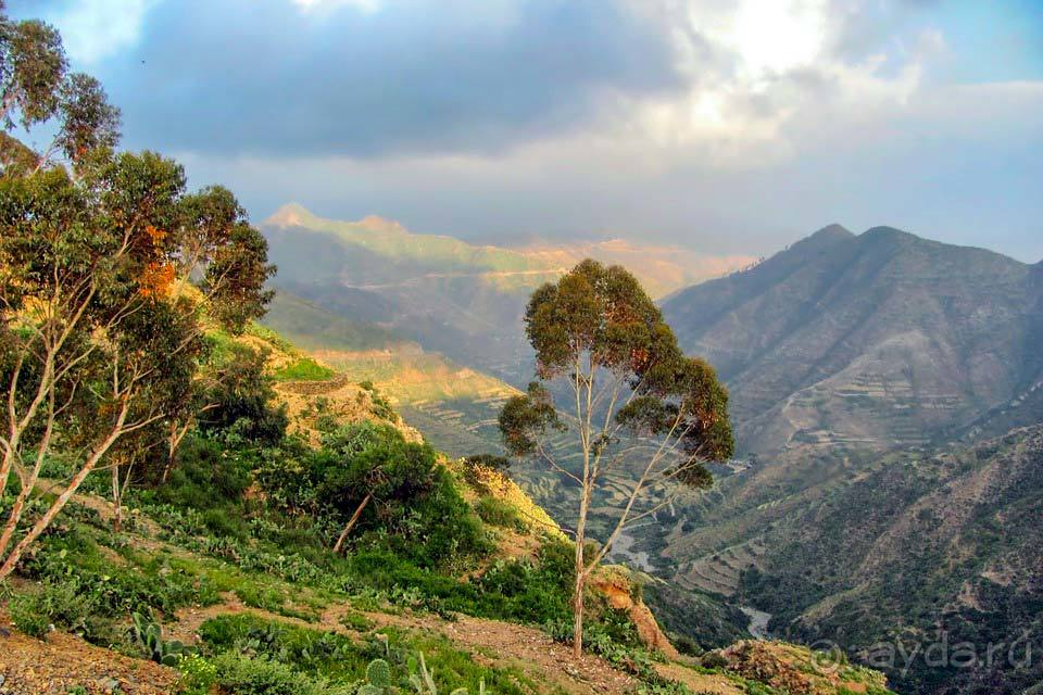 Отдых в Эритрее