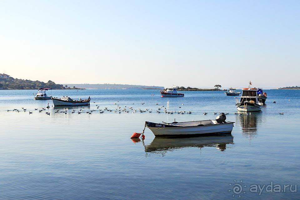 Отдых в Эритрее