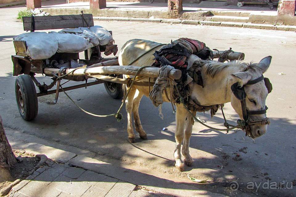 Отдых в Эритрее