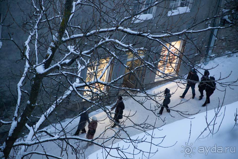 Отдых в Эстонии