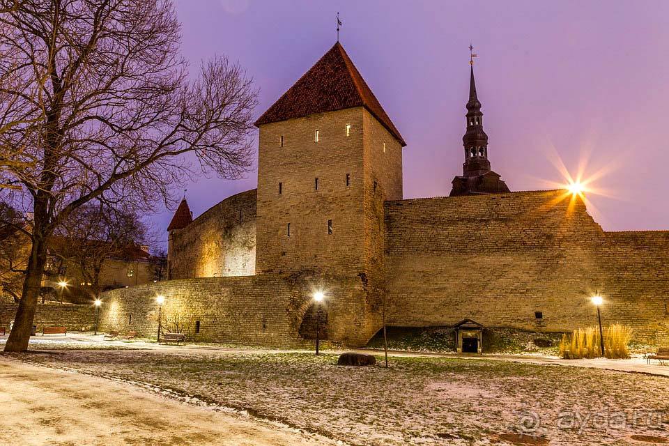 Отдых в Эстонии