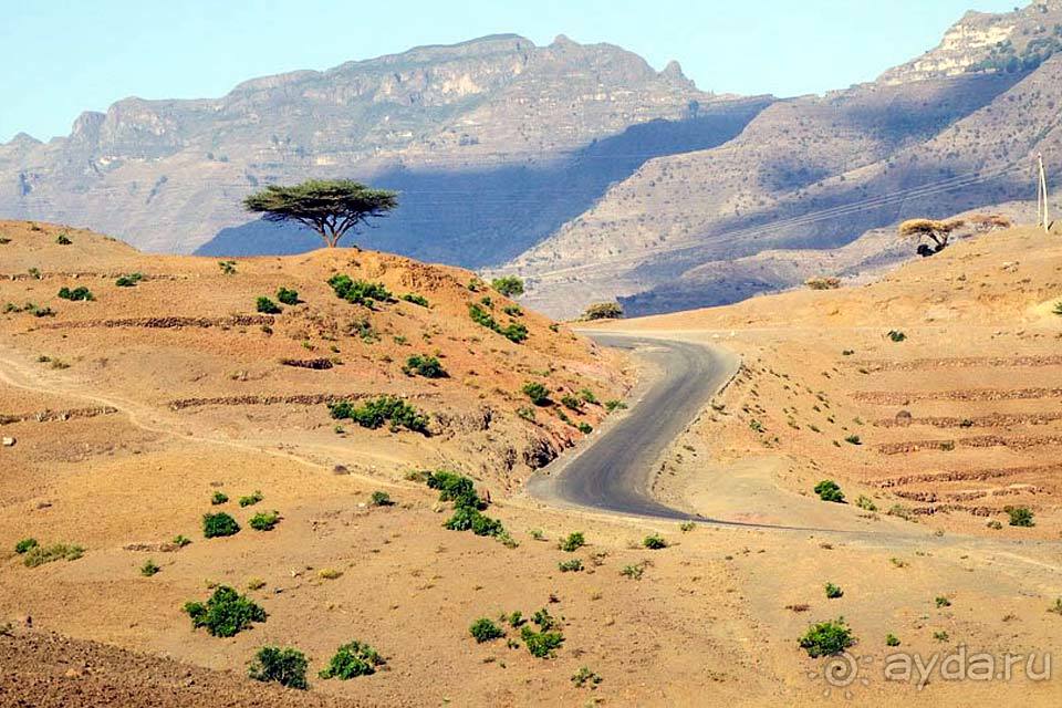 Отдых в Эфиопии