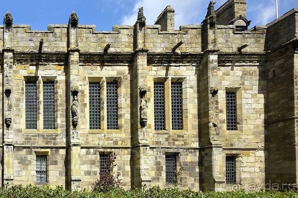 Отдых на Фолклендских островах