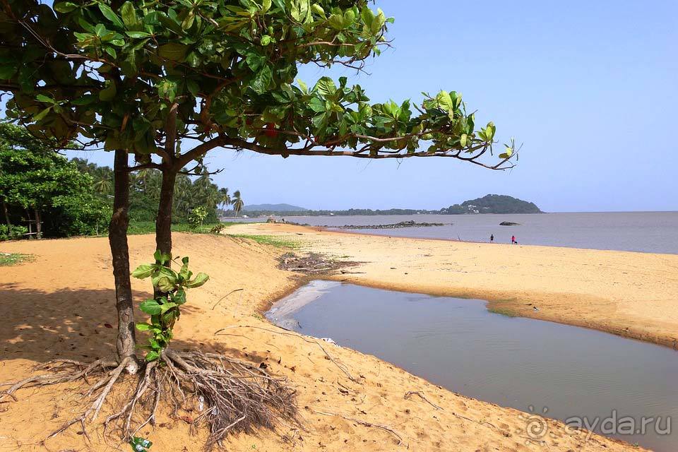 Отдых во Французской Гвиане